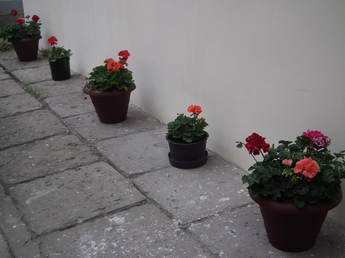 Apartament Bbb48 Cluj-Napoca Exterior photo